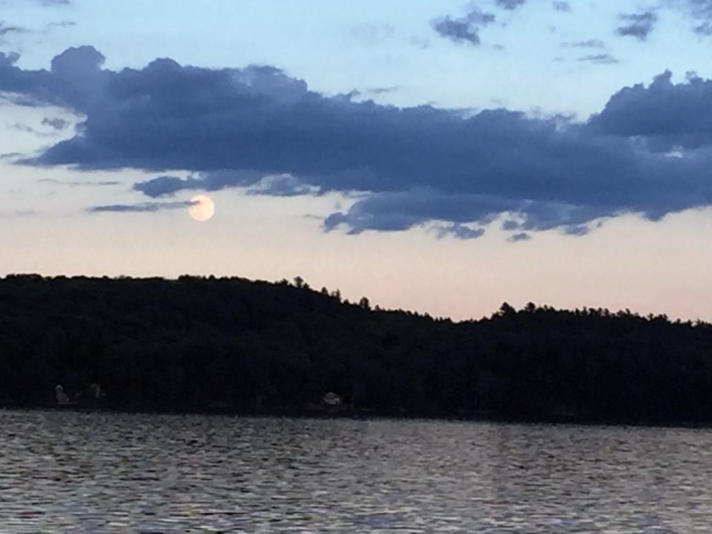 Little Hawk Resort & Marina Algonquin Highlands Exterior foto